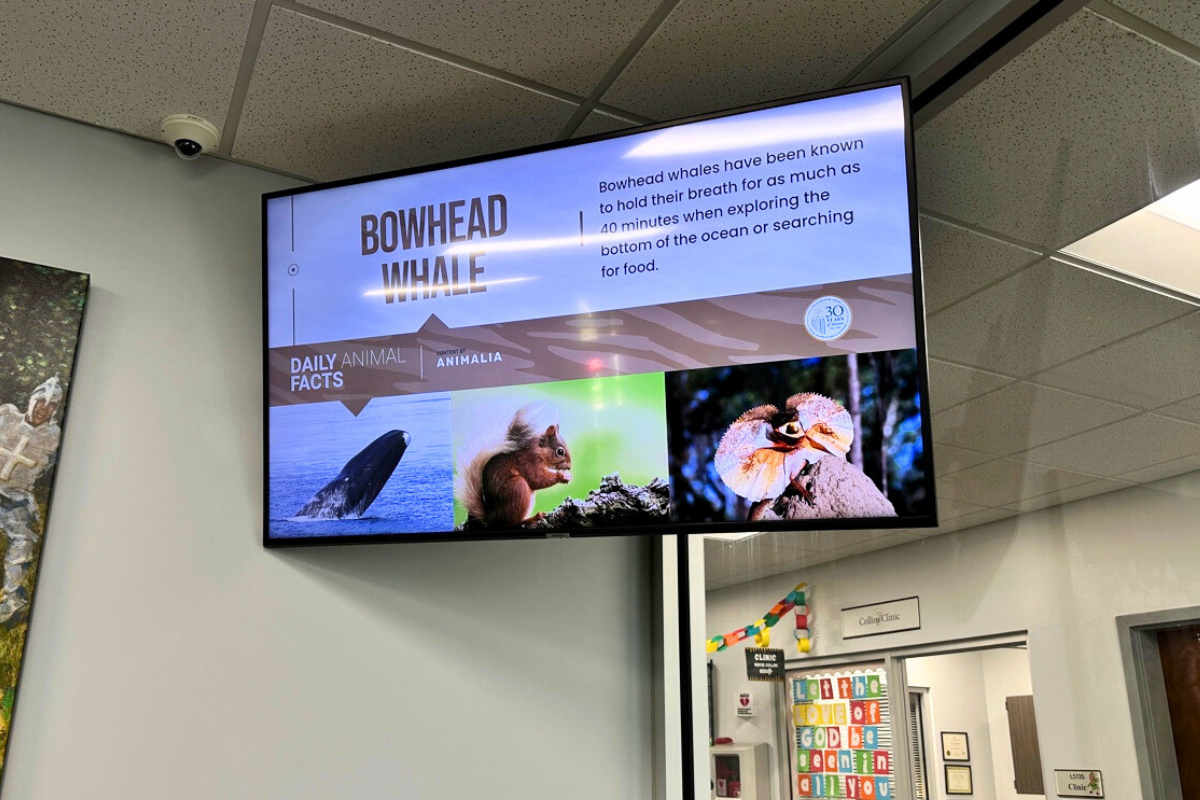 Pinecrest_Animalia Facts in the Foyer